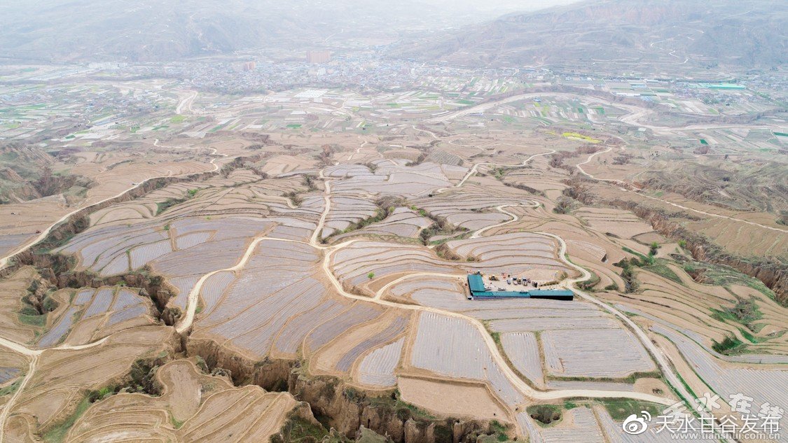 中共中央政治局召开民主生活会