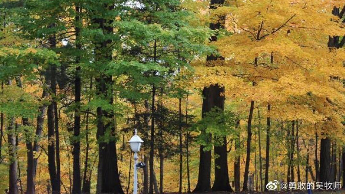 这些大国工程见证中国之变